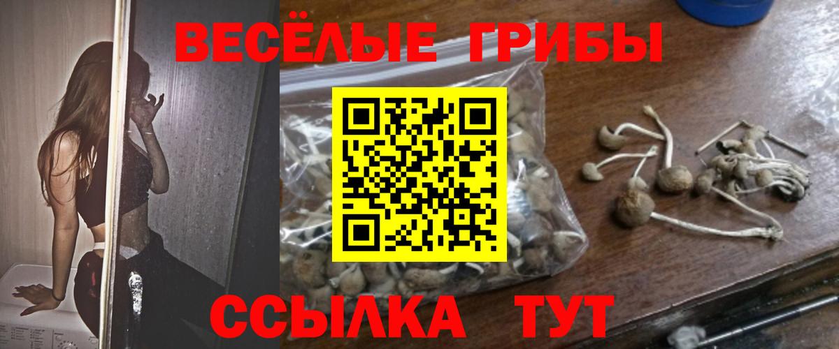 Галлюциногенные грибы Psilocybine cubensis Кушва