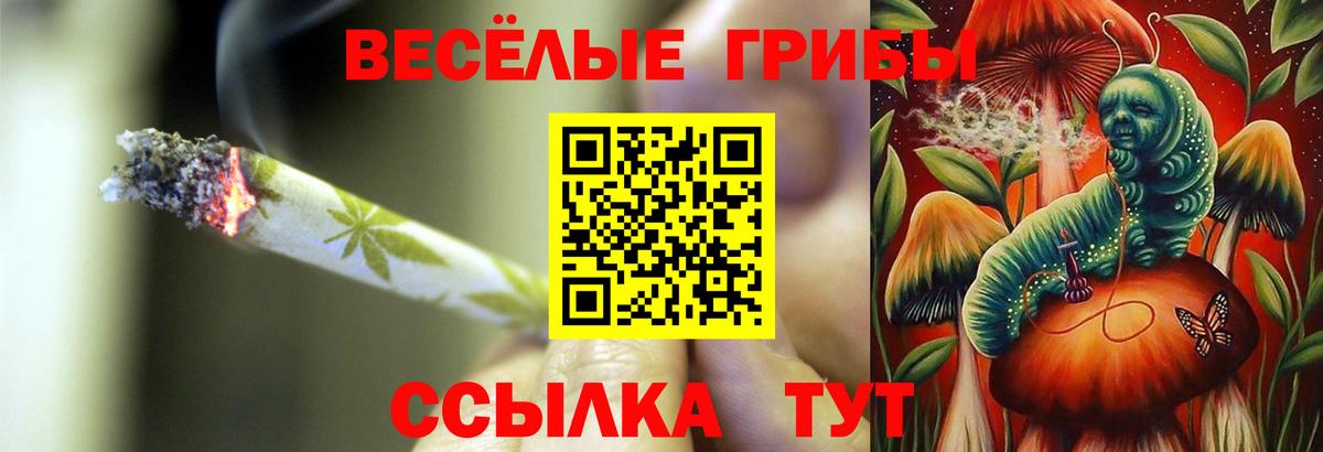 Кушва  Псилоцибиновые грибы Psilocybe  Вход с VPN  Псилоцибиновые грибы MAGIC MUSHROOMS 